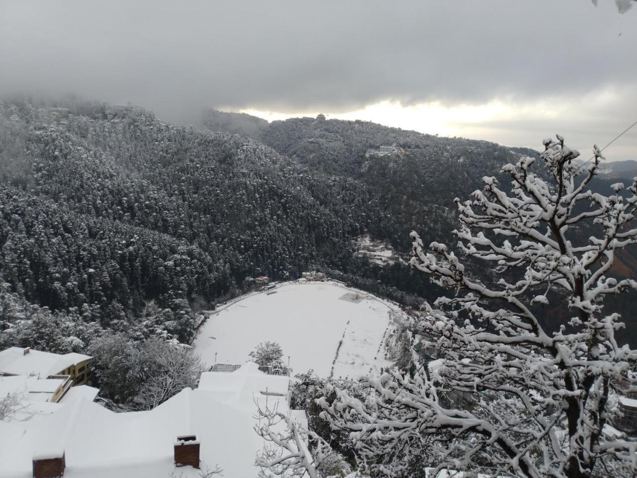 Apple House Bed & Breakfast Shimla Exterior photo